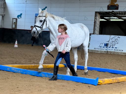 Leonie und White Lady bei der Bodenarbeit